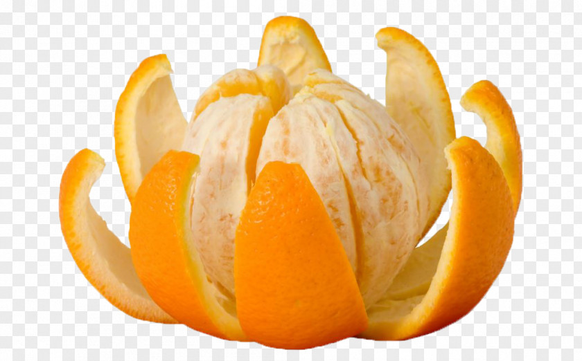 Orange Crisp Juice Fruit Peel PNG