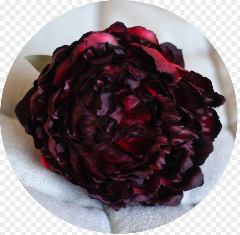 Peonias Maroon Thumbnail Peony Photography PNG