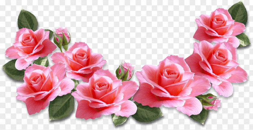 Rose Pink Flowers Clip Art PNG