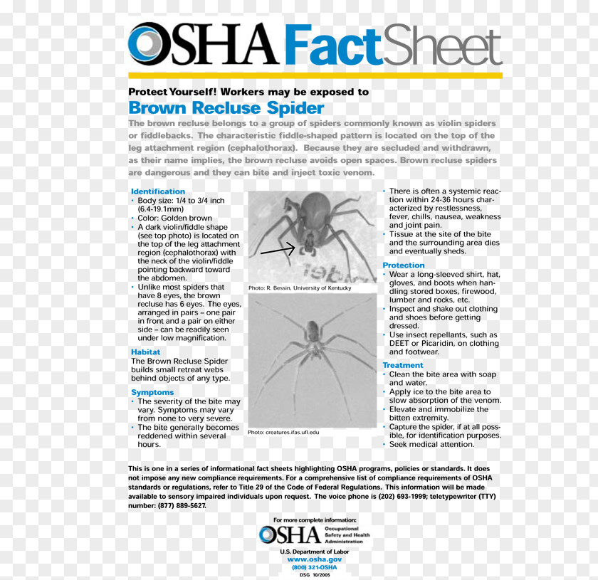 Spider Brown Recluse Pest Control Bite Exterminator PNG