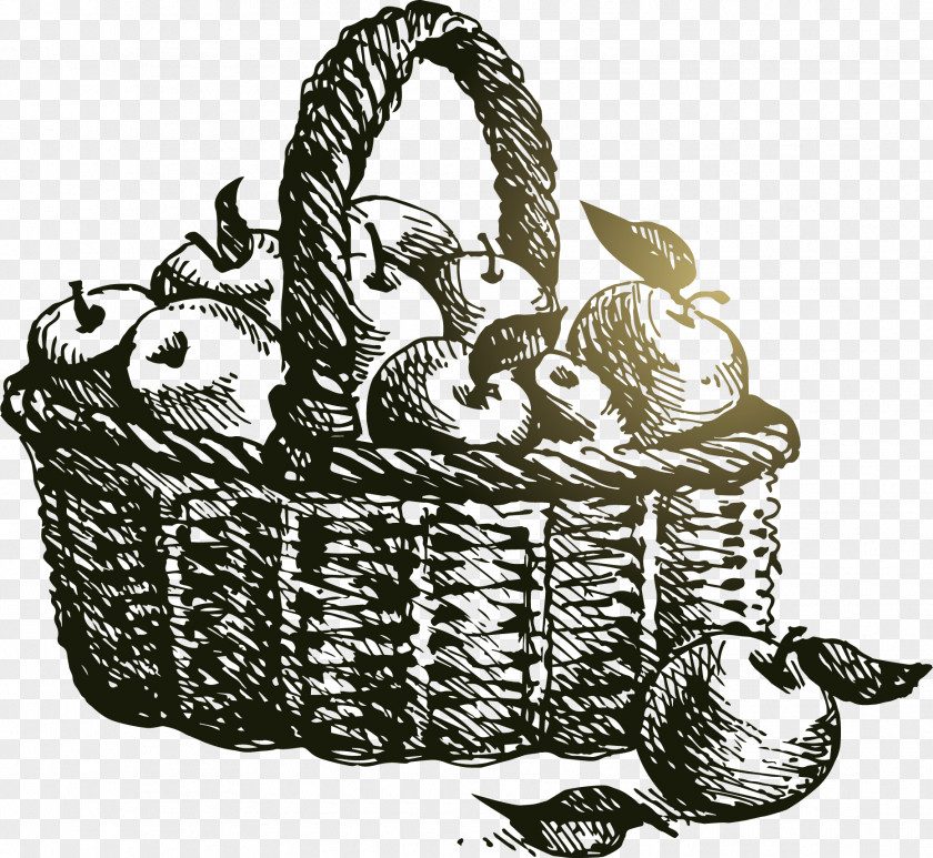 A Basket Of Apple Vector Basketball Adobe Illustrator Rubber Stamp PNG