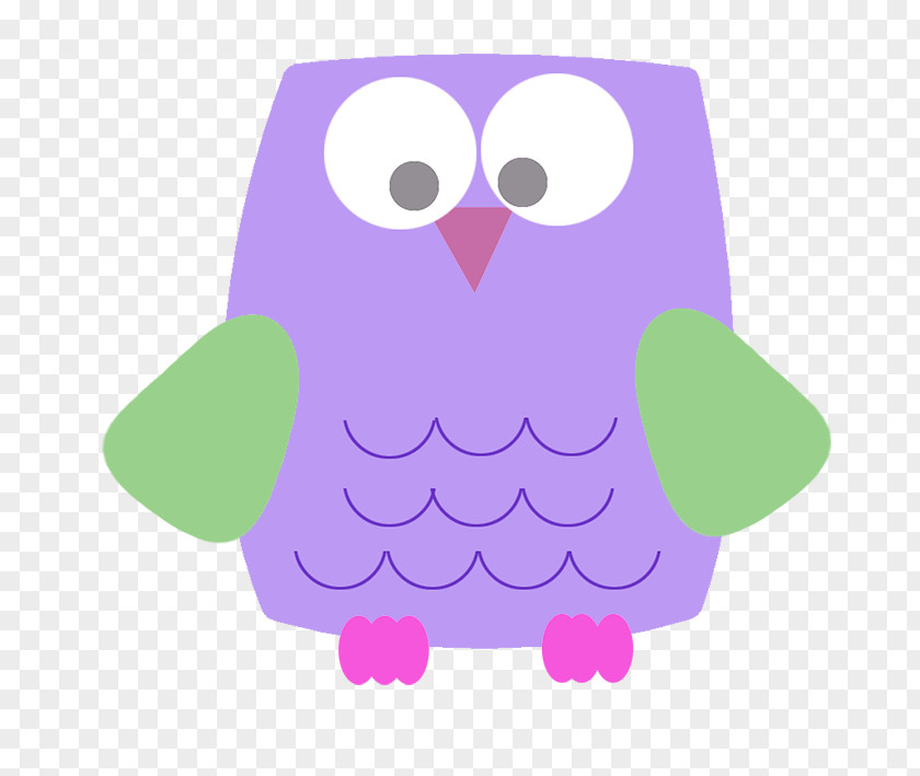 Baby Owl Owls Clip Art PNG
