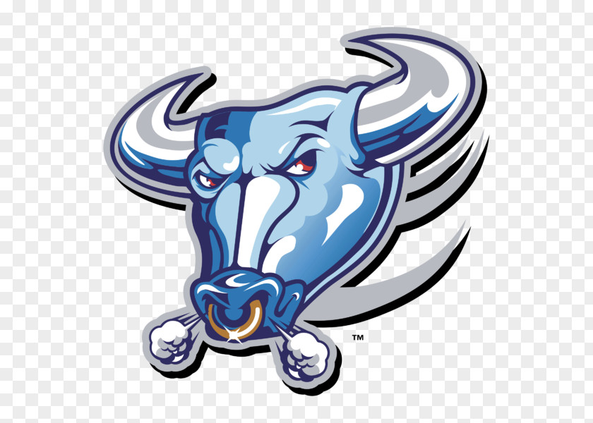 Basketball Buffalo Bulls Football Men's Chicago Bills Clip Art PNG