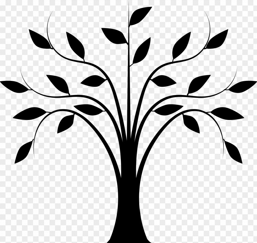 Clip Art Line Drawing Tree PNG