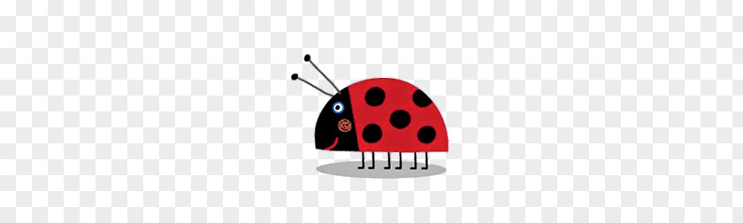 Ladybug PNG Ladybug, red and black ladybug illustration clipart PNG