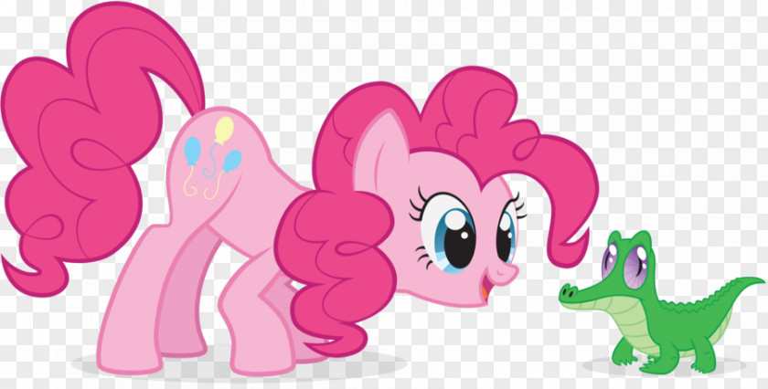 Pinkie Pie Rarity Twilight Sparkle Applejack Fluttershy PNG
