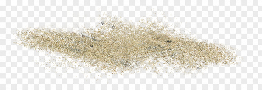 Sand Scrubs Sea PNG