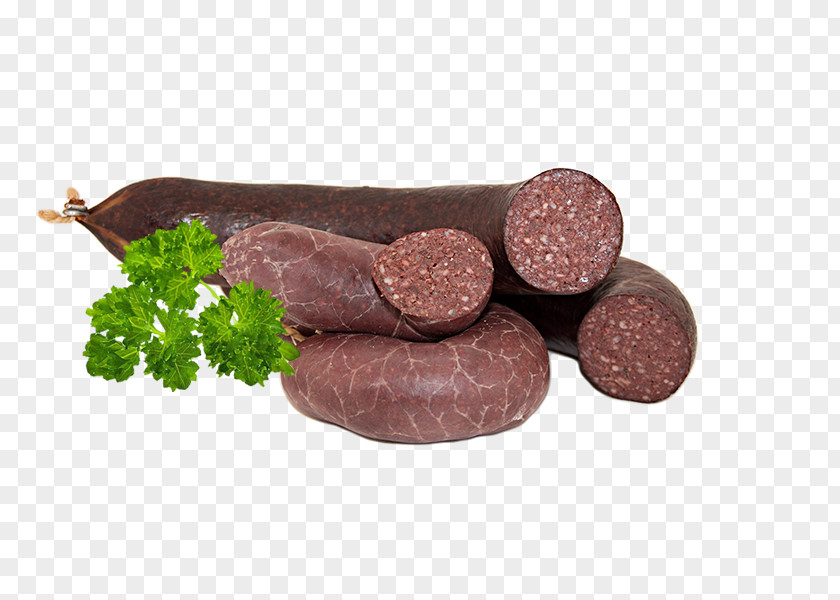 Sausage Salami Liverwurst Cervelat Kaszanka PNG