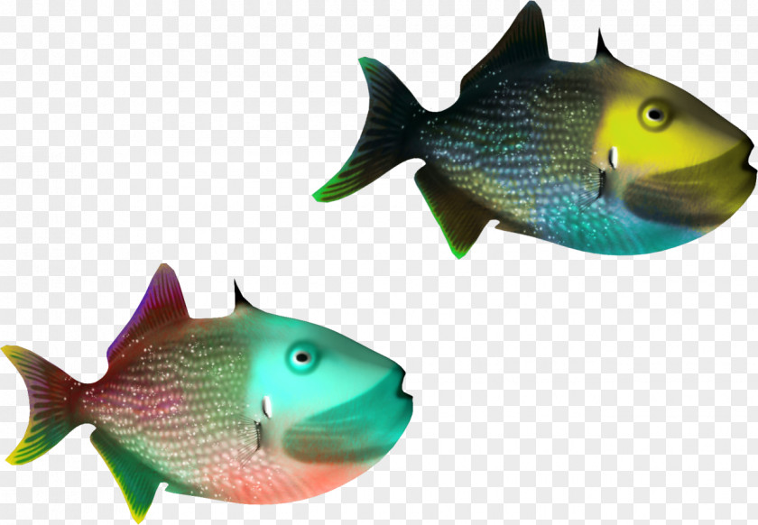 Tropical Fish Stock Photography Clip Art PNG