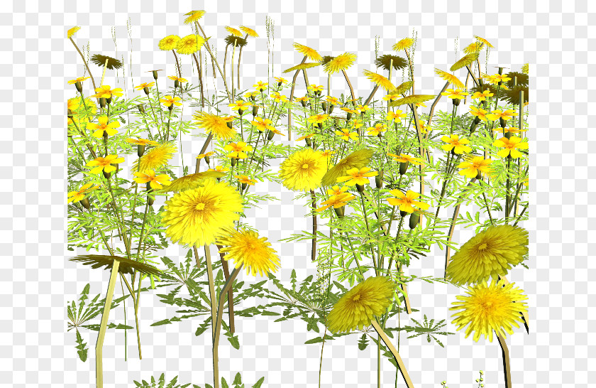 Yellow Sunflower Cong Flower Clip Art PNG