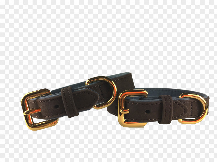 Belt Dog Collar Buckle PNG