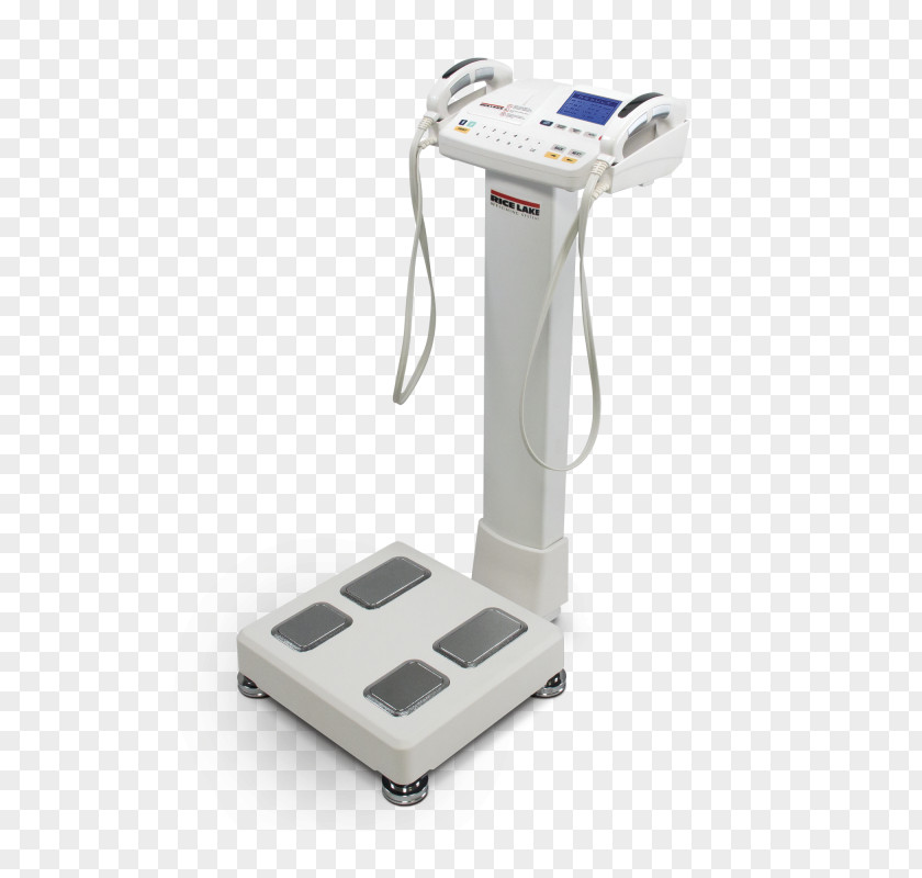 Body Composition Bioelectrical Impedance Analysis Adipose Tissue Overweight Fat Percentage PNG