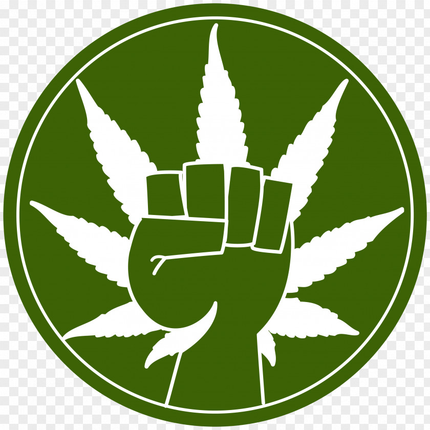 Cannabis United States Hash, Marihuana & Hemp Museum War On Drugs Legality Of PNG