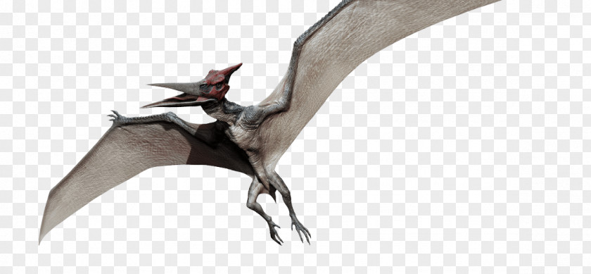 Dinosaur Vector Pteranodon Dimorphodon Pterodactyls Ankylosaurus Jurassic Park PNG