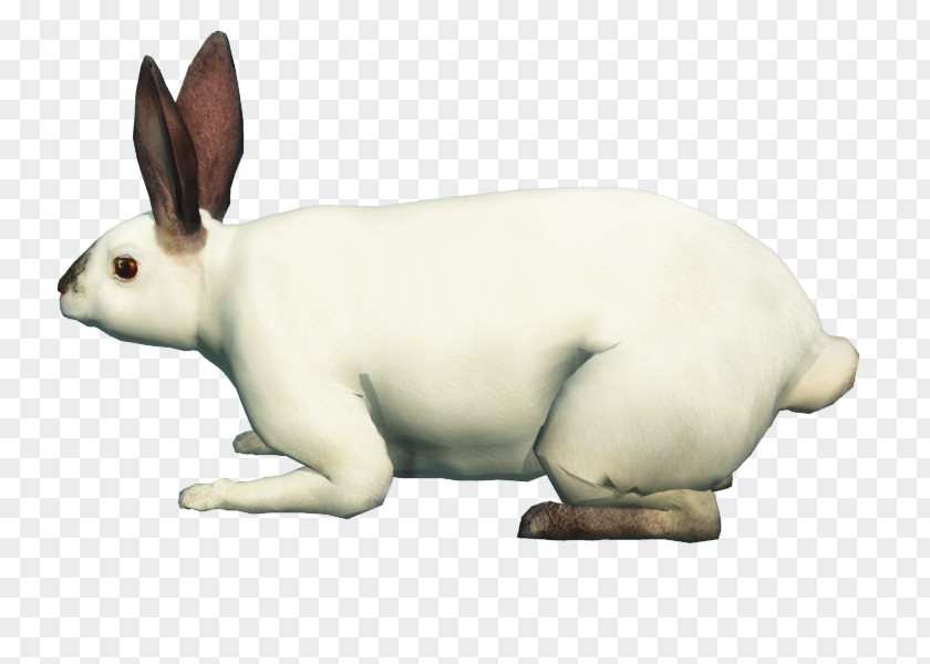 Dog Domestic Rabbit Hare Snout Canidae PNG