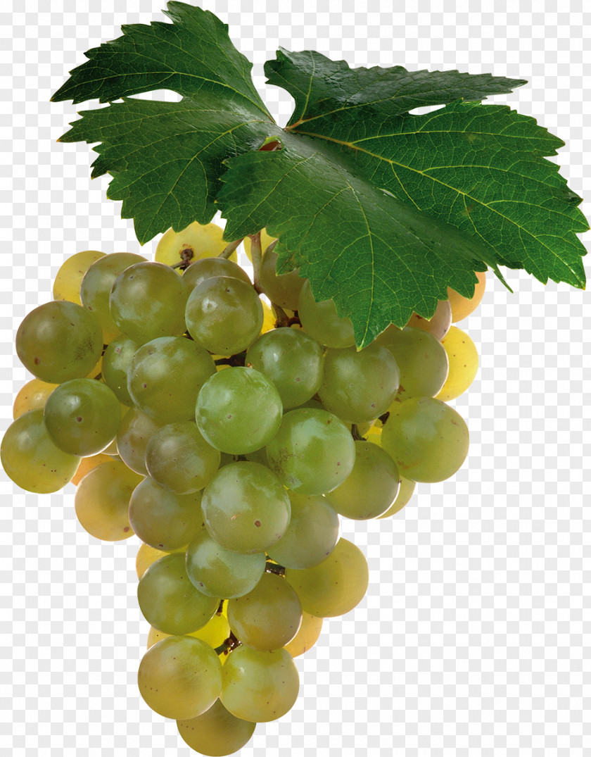 Grape Shiraz Cabernet Sauvignon Blanc Wine PNG