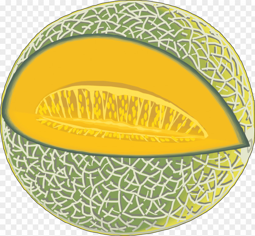 Hami Melon Vector Material Cantaloupe Honeydew Clip Art PNG