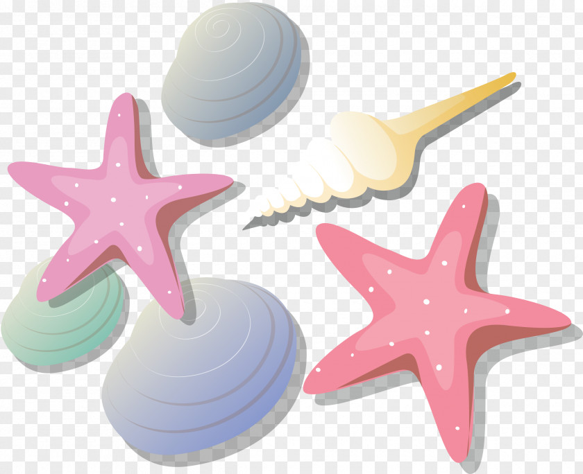 Seashell Starfish PNG