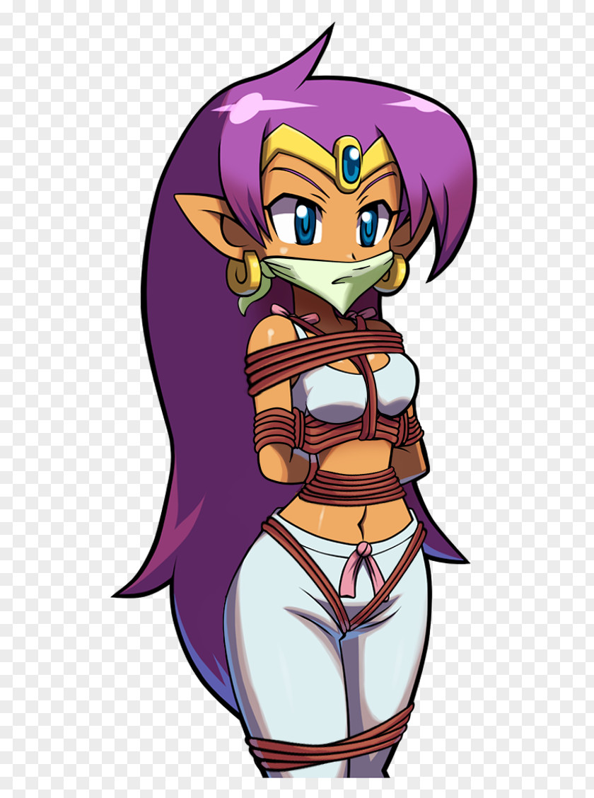 Shantae: Half-Genie Hero Pajamas DeviantArt Video Game PNG