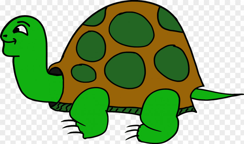 Turtle Tortoise Clip Art Image PNG