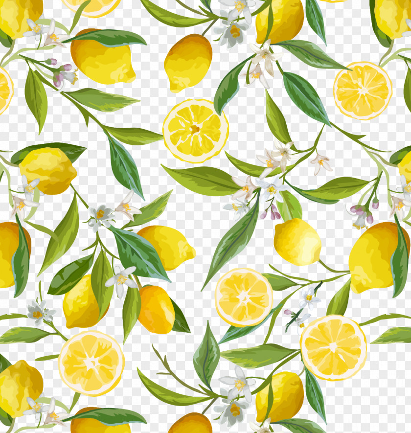 Fresh Lemon Border Flower Stock Photography Clip Art PNG
