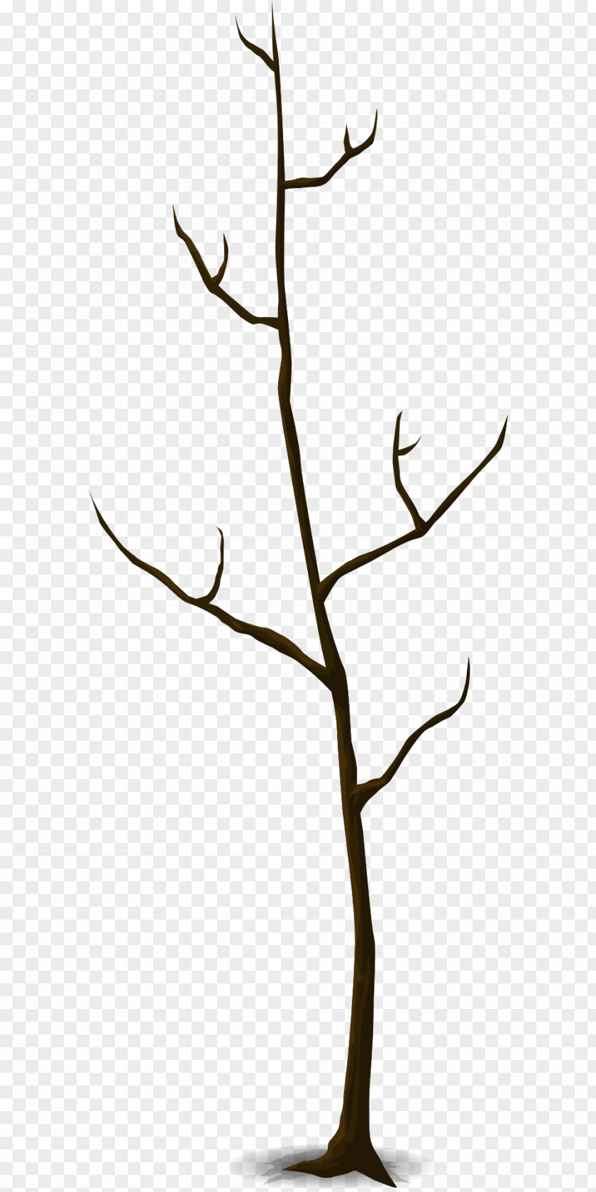 Leaf Twig Trunk Tree Branch PNG