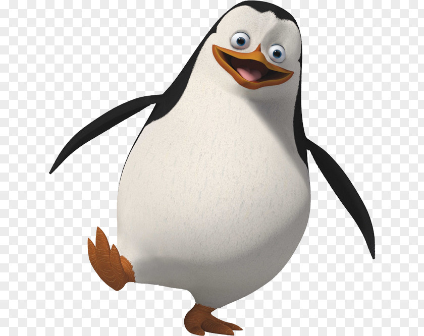 Madagascar Penguins Penguin Animation Film PNG
