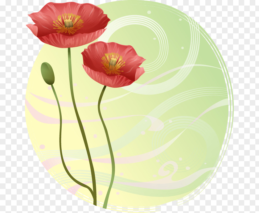 Painted Green Background Fantasy Red Flowers Opium Poppy Flower Clip Art PNG