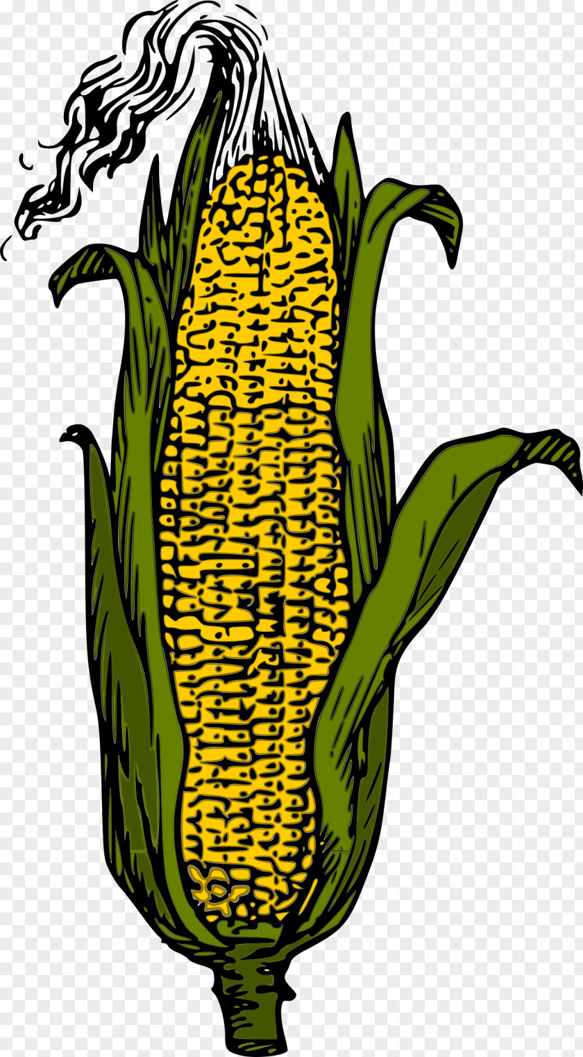 Popcorn Corn On The Cob Candy Maize Clip Art PNG