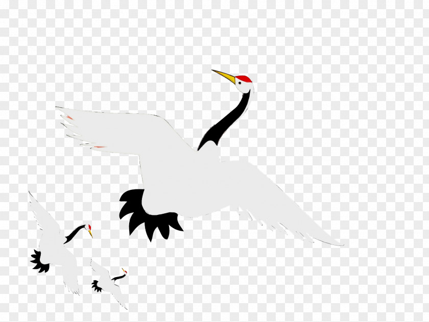 White Stork Ducks Birds Crane Water Bird PNG