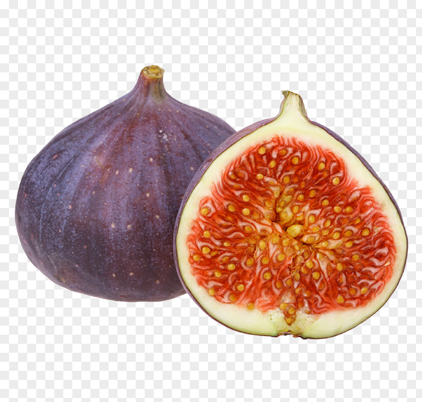 Common Fig La Clape AOC Photography Royalty-free PNG
