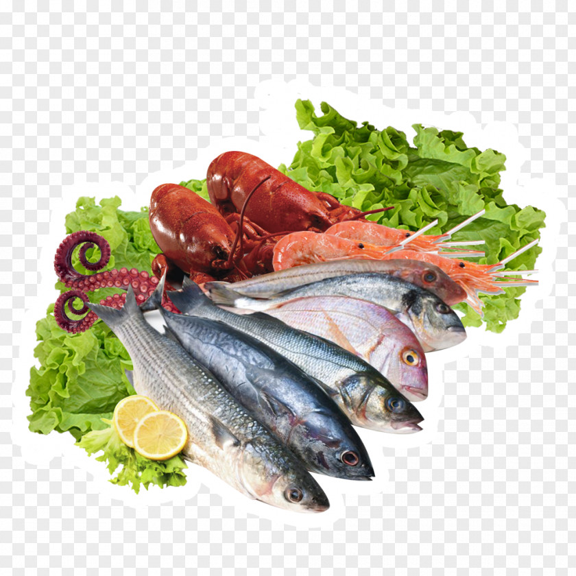 Fish Seafood Paella PNG