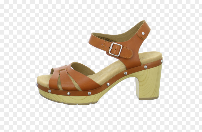 Sandal Clog Slide Shoe Walking PNG