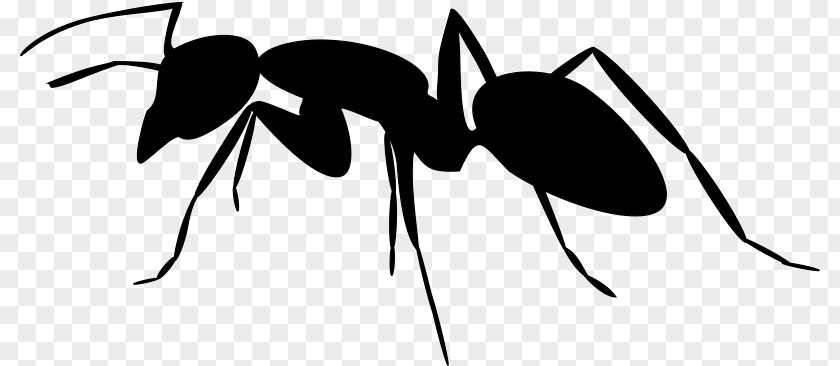 Silhouette Ant Art Clip PNG