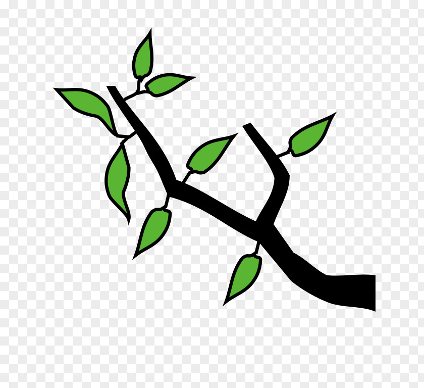 Tree Twig Branch Clip Art PNG