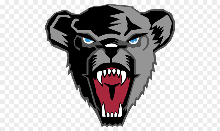 Bear University Of Maine Black Bears Football Men's Ice Hockey Women's Basketball American PNG