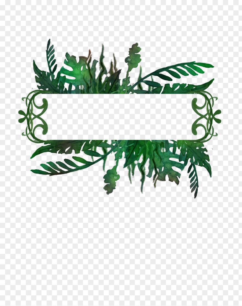 Jungle Decoration Picture Frames Drawing DeviantArt PNG