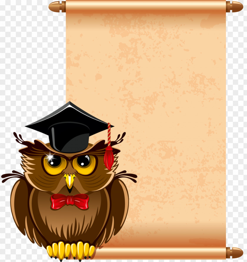 Owl Teacher Royalty-free School Photography Clip Art PNG