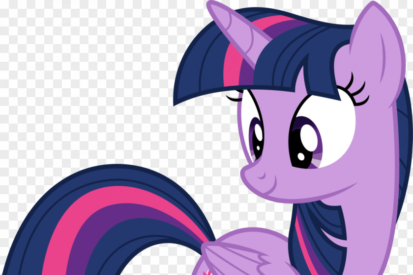 Pony Twilight Sparkle Rainbow Dash Tempest Shadow PNG