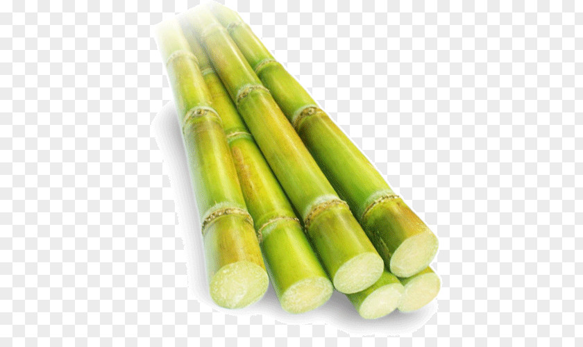Sugar Sugarcane Juice Pakistan PNG