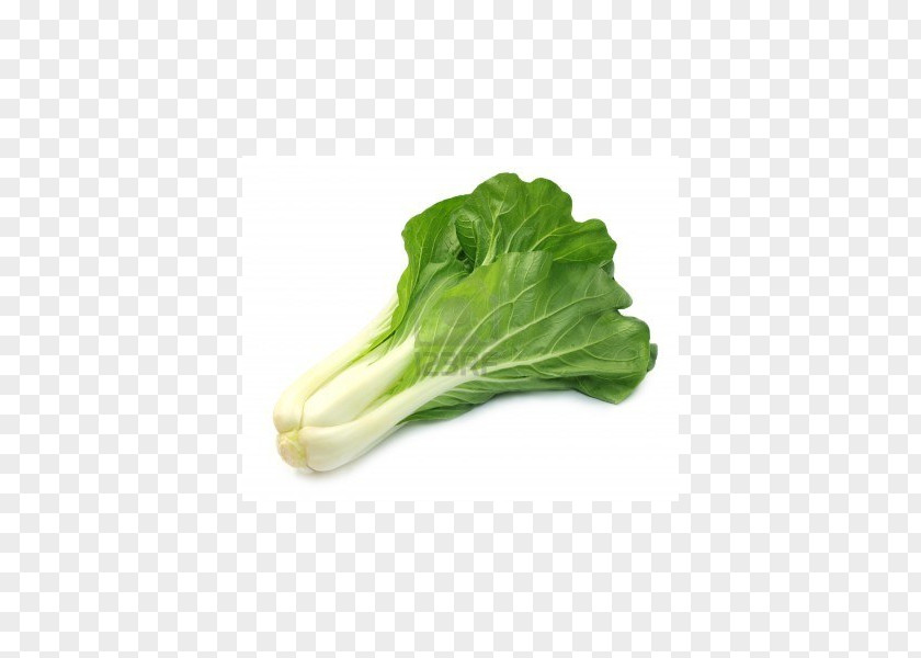 Vegetable Organic Food Chinese Cabbage Bok Choy PNG