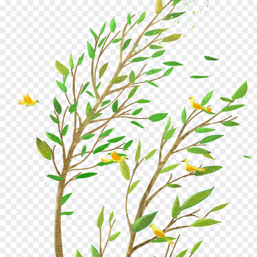 Willow Tree In The Wind Cartoon Download Comics PNG