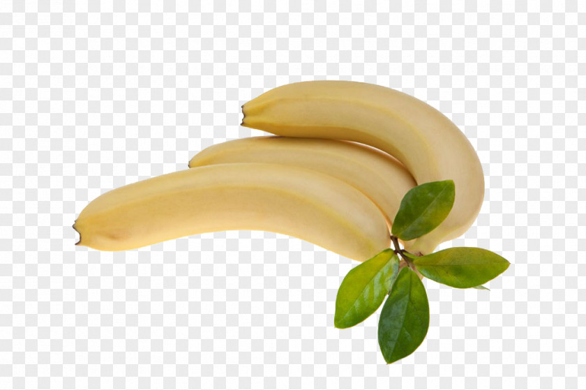 Banana Juice Fruit PNG