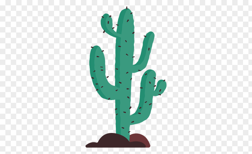 Cactus Stock Illustration Vector Graphics PNG