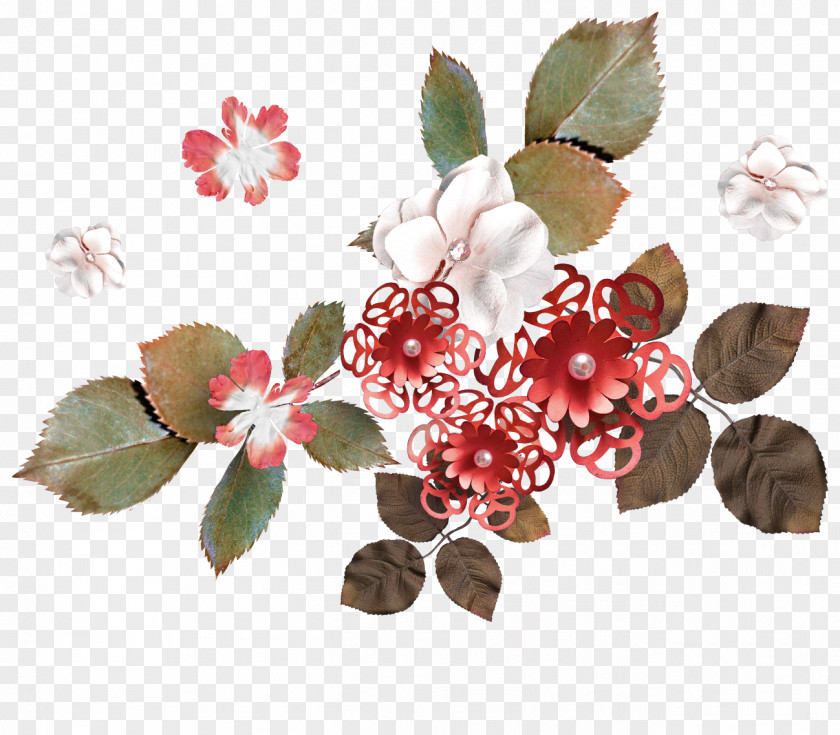 Flower Blossom Floral Design Rose Family Petal PNG