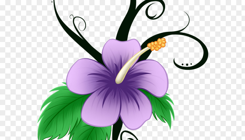 Flower Purple Petal Plant Violet PNG