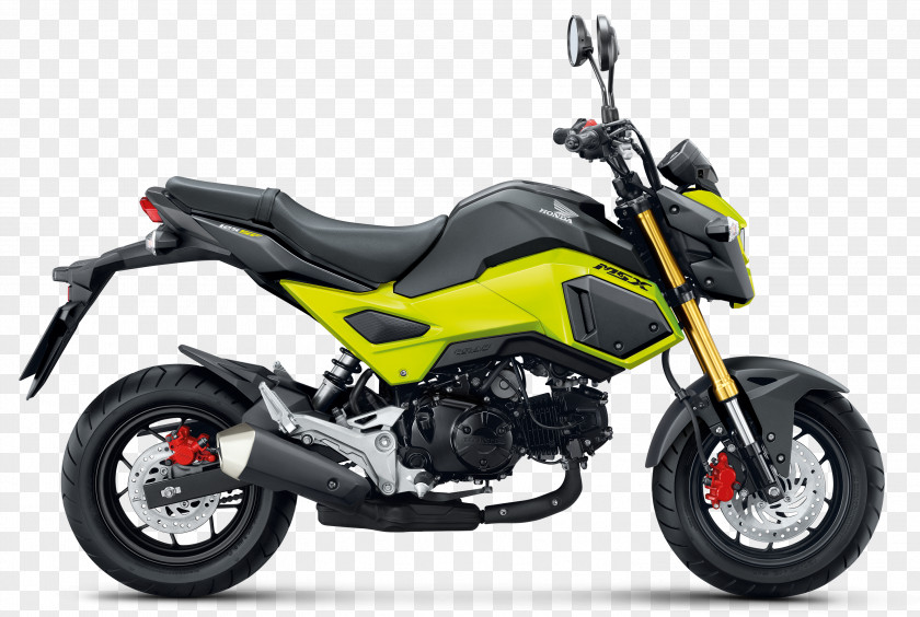 Honda Grom Motorcycle Chico Motorsports Africa Twin PNG
