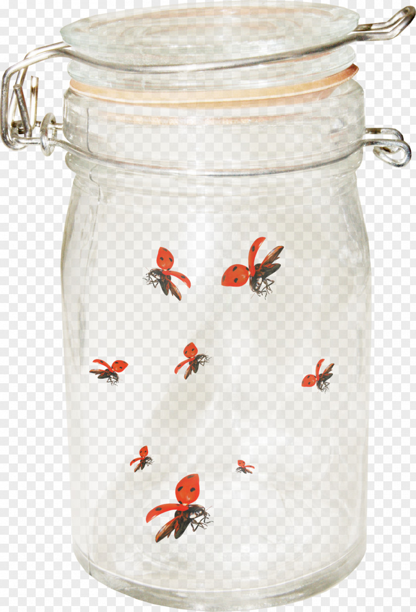 Jar Ladybird Glass PNG