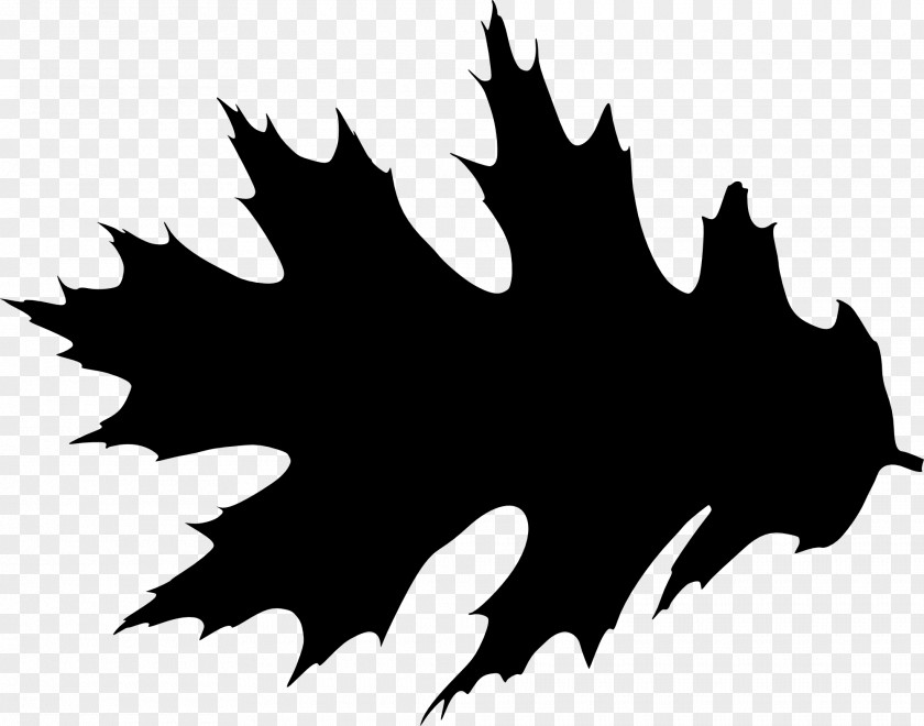 Silhouette Maple Leaf Clip Art PNG