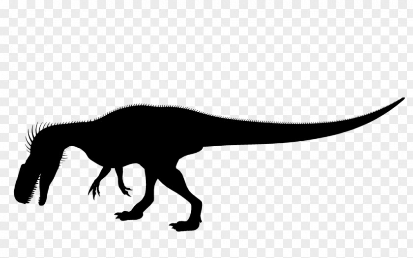 Silhouette Tyrannosaurus Black White Clip Art PNG
